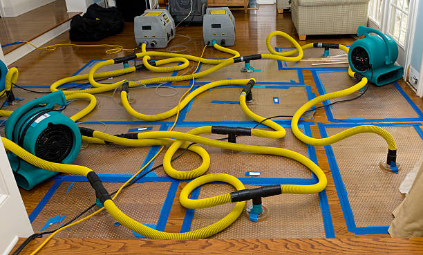 Professional Basement Flood Cleanup technician working in South Jamesport, NY